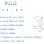 rusle.png